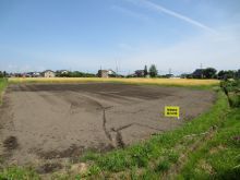 有機えごまほ場0525