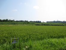 yuukimai10721