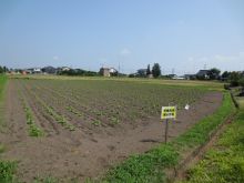 yuukiegoma0721