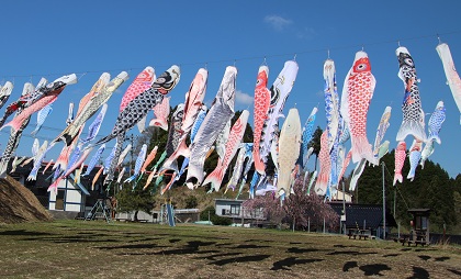 大空に舞うこいのぼり。