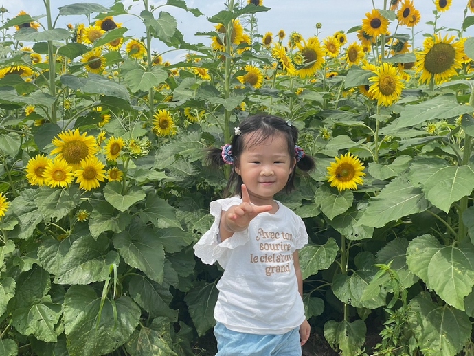 2歳になったももちゃんとひまわり