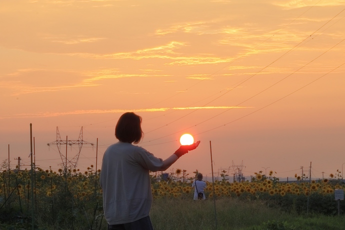 電車toヒマワリto夕日to奥さんコラボレーション