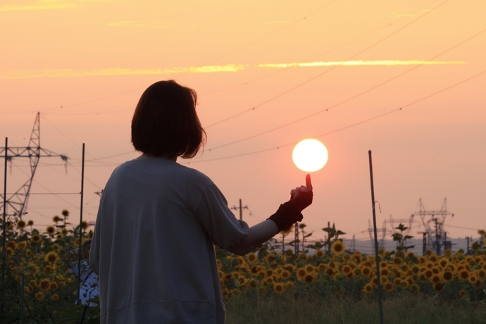 電車toヒマワリto夕日to奥さんコラボレーション