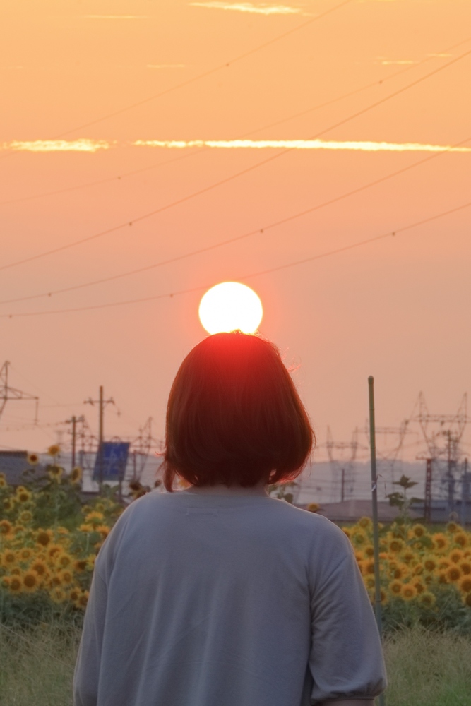 電車toヒマワリto夕日to奥さんコラボレーション