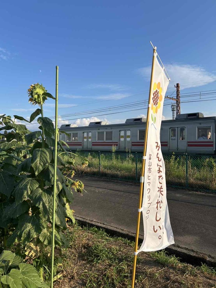 地鉄とひまわり