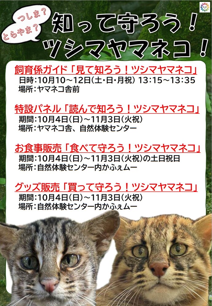 知って守ろう!ツシマヤマネコ!