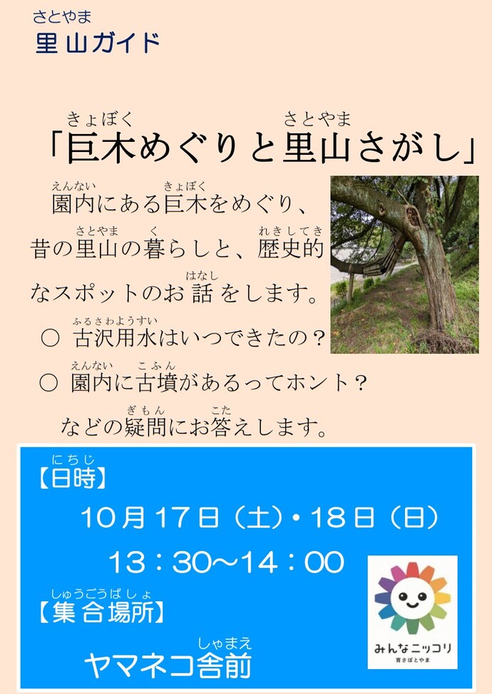 里山ガイド「巨木と里山めぐり」